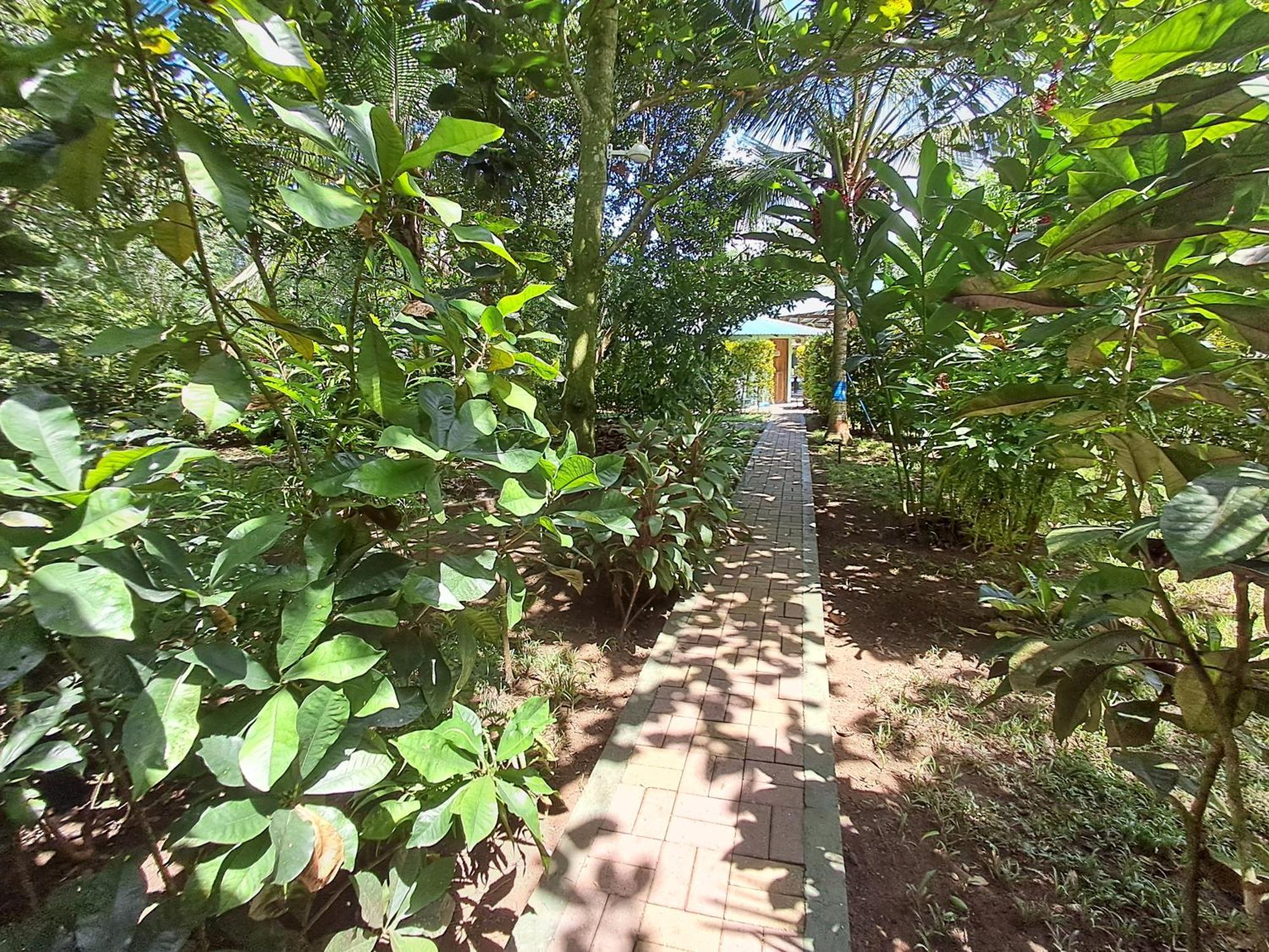 까위따 New Caribe Point 빌라 외부 사진