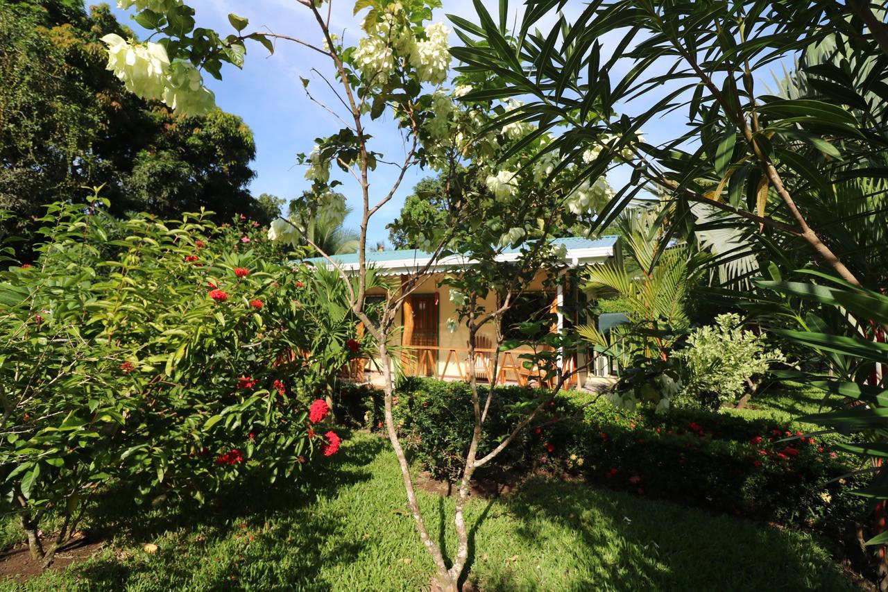 까위따 New Caribe Point 빌라 외부 사진